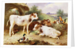 Calves and Poultry by a Byre by Walter Hunt