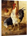 A Cockerel and Chickens in a Farmyard by Federico Jimenez Fernandez