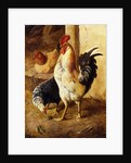A Cockerel and Chickens in a Farmyard by Federico Jimenez Fernandez