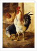 A Cockerel and Chickens in a Farmyard by Federico Jimenez Fernandez