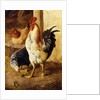 A Cockerel and Chickens in a Farmyard by Federico Jimenez Fernandez