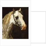 Head of a Piebald Horse attributed to Theodore Jean Louis Gericault by Anonymous