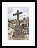 Lapa cemetery in Aveiro by Anonymous