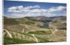The vineyards of the Douro Valley above Pinhao are set on terraced hillsides above the Douro River by Anonymous