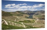 The vineyards of the Douro Valley above Pinhao are set on terraced hillsides above the Douro River by Anonymous