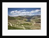 The vineyards of the Douro Valley above Pinhao are set on terraced hillsides above the Douro River by Anonymous