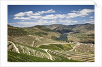 The vineyards of the Douro Valley above Pinhao are set on terraced hillsides above the Douro River by Anonymous
