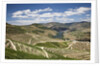 The vineyards of the Douro Valley above Pinhao are set on terraced hillsides above the Douro River by Anonymous