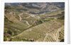 The vineyards of the Douro Valley above Pinhao are set on terraced hillsides above the Douro River by Anonymous