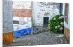 Street along Obidos, one of the most picturesque medieval villages in Portugal by Anonymous