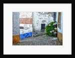Street along Obidos, one of the most picturesque medieval villages in Portugal by Anonymous