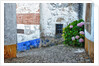Street along Obidos, one of the most picturesque medieval villages in Portugal by Anonymous