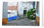 Street along Obidos, one of the most picturesque medieval villages in Portugal by Anonymous