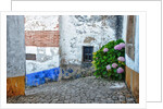 Street along Obidos, one of the most picturesque medieval villages in Portugal by Anonymous