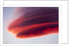 Lenticular Cloud at Sunset, Katmai National Park, Alaska by Anonymous