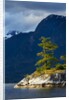Desolation Sound, BC, Canada by Anonymous