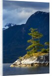 Desolation Sound, BC, Canada by Anonymous