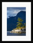 Desolation Sound, BC, Canada by Anonymous