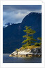 Desolation Sound, BC, Canada by Anonymous