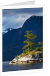 Desolation Sound, BC, Canada by Anonymous