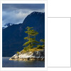 Desolation Sound, BC, Canada by Anonymous