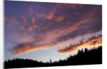 Desolation Sound, BC, Canada by Anonymous