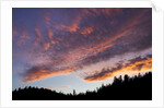 Desolation Sound, BC, Canada by Anonymous