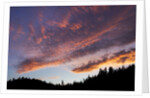 Desolation Sound, BC, Canada by Anonymous