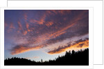 Desolation Sound, BC, Canada by Anonymous