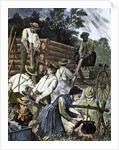USA. Settlers building their homes in the West (1874) by Anonymous