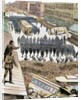 Police officers dispersing the strike of employees of Streetcar in New York, March 4, 1886. Colored by Anonymous