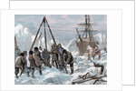 Nares, Sir George Strong (1831-1915). British naval officer and Arctic explorer. The crew of "Discov by Anonymous