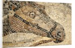 Horse Roman Floor Mosaic by Anonymous