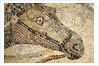 Horse Roman Floor Mosaic by Anonymous