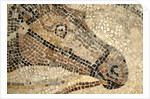 Horse Roman Floor Mosaic by Anonymous