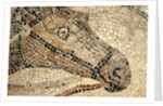 Horse Roman Floor Mosaic by Anonymous