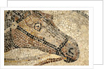 Horse Roman Floor Mosaic by Anonymous