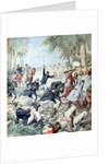 Rebellion and Suppression in Oran Provence Algeria (June 1903) by Anonymous