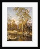 Autumn Reflections by Frederick John Mulhaupt