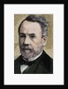 Pasteur, Louis (1822-1895) French chemist and bacteriologist by Anonymous