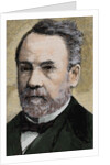 Pasteur, Louis (1822-1895) French chemist and bacteriologist by Anonymous