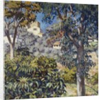 Paysage du Midi by Theo van Rysselberghe