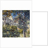 Paysage du Midi by Theo van Rysselberghe