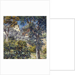 Paysage du Midi by Theo van Rysselberghe