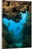 Diver seen through opening in coral reef by Anonymous