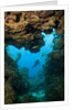 Diver seen through opening in coral reef by Anonymous