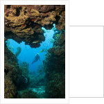 Diver seen through opening in coral reef by Anonymous