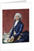 William Pitt (1708-1778). British politician by Anonymous