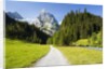 Rosenlaui Valley by Anonymous
