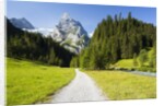 Rosenlaui Valley by Anonymous